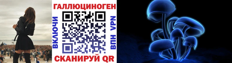 хочу наркоту  omg рабочий сайт  Псилоцибиновые грибы GOLDEN TEACHER  Нестеровская 